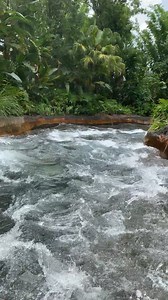 942K views · 453 reactions | Kali River - Animal Kingdom Para mais vídeos siga no instagram: www.instagram.com/meumundomagico Não compartilhe sem dar os créditos! | Mundo Mágico Store | Facebook