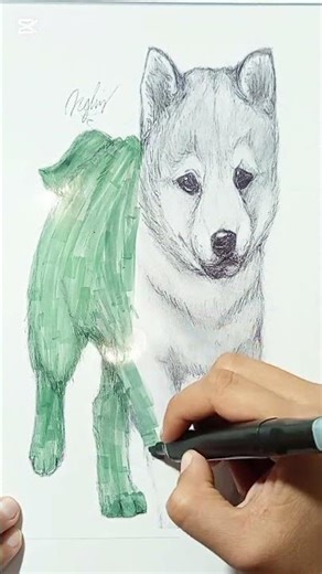 “Majestic Wolf Coloring Process 🐺🎨”