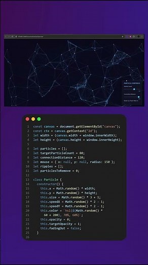 How to make Interactive Particle Network Using HTML CSS & JavaScript