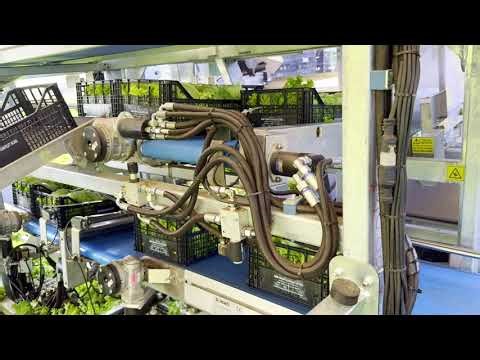 9800 Self-propelled Crawler Harvester | Ortomec