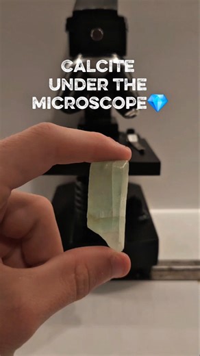 Microscopic observation of a calcite #microscope #science #experiment