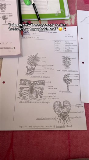 Understanding Trypophobia Through Art