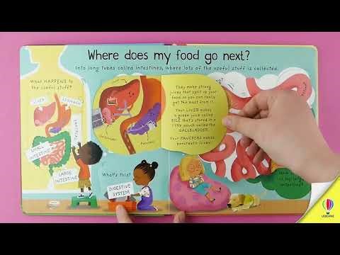 Lift-the-flap First Questions & Answers: Where Does My Food Go?