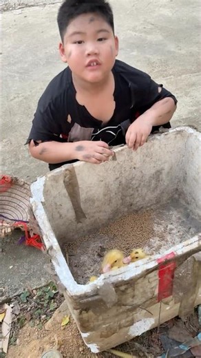 Cậu bé nghèo tốt bụng chăm sóc đàn vịt con một cách sảng khoái, thú vị #shorts