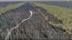 NJ forest fire: Fire was started by people, but was it a crime?
