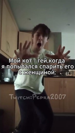 Мой Кот Гей,Когда Увидел Женщину: