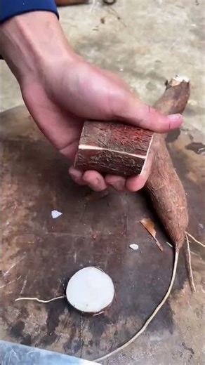 ✅ Amazing Mini Rotary Tiller for Home Gardening 🌱 | Satisfying Tool #viral #shorts