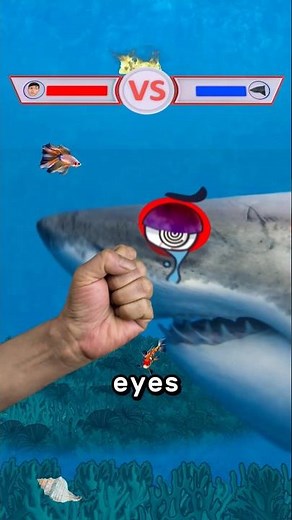 How To Trick A Shark 😨