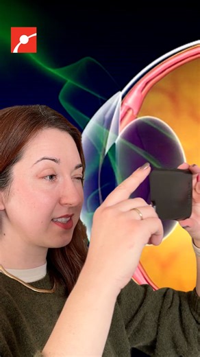 61K views · 462 reactions | Did you know that you have a gap in your vision that your brain hides? Alex Dainis demonstrates a simple trick to find this blind spot, which is caused by the place where your optic nerve connects to your retina. #Vision #Eye #Biology #WomenInSTEM #Science | Museum of Science, Boston | Facebook