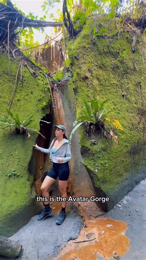 Feels like you've completely left the real world behind and stepped onto the planet Pandora