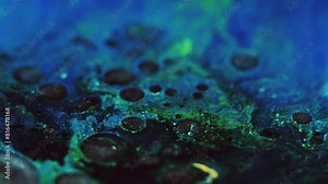 Glitter bubbles. Oil fluid. Blur blue green black color sparkling fizz circles texture paint blend splash motion abstract art background. Stock Video