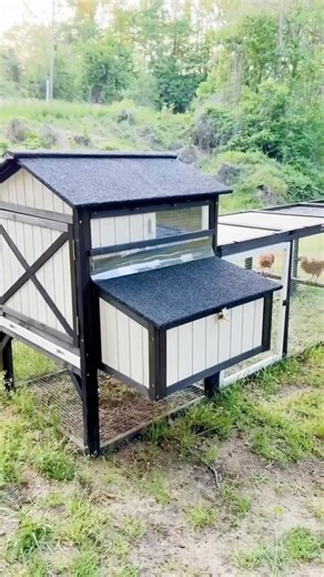 Extra Large Chicken Coop with Nesting Boxes Chicken House