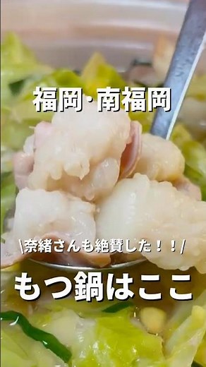 【福岡•南福岡】美味しすぎるもつ鍋😋#福岡#福岡グルメ#fukuoka#fukuokafood#fukuokagourmet