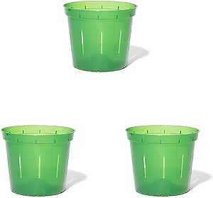 rePotme 4 inch Plant Pots - 6 Pack of Flower Pots (Green Emerald) - Slotted Clear Planter for Indoor Plants - Perfect for Orchids, Succulents, Herbs, and More
