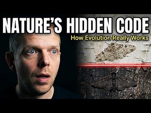 Evolution Mechanisms: From Natural Selection to Genetic Drift