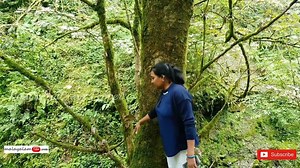 31K views · 1K reactions | ukയിലെ ഉൾനാടൻ പ്രദേശങ്ങളിലൂടെ നമുക്കൊന്ന് കറങ്ങാൻ പോയാലോ? | Rani's Salt and Pepper | Facebook