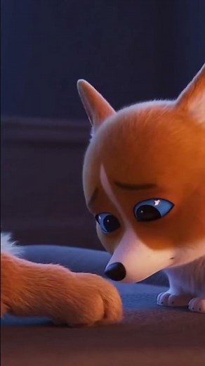 S1EP8 Corgi Says Goodbye to Best Friend 💔😢 | Emotional Dog Animation