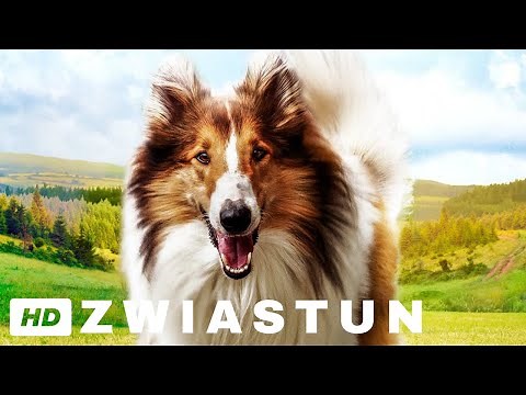 LASSIE, WRÓĆ! - oficjalny zwiastun filmu