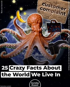 480K views · 7K reactions | There’s nothing like random trivia to remind us of the fact that the world is crazy and wonderful. | Sunday Roast | Facebook