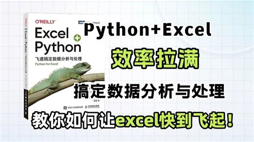 封神之作！《Excel Python飞速搞定数据分析与处理》建议想学Python的同学，都去死磕这本书！（数据分析|Python|Excel|数据处理教程）