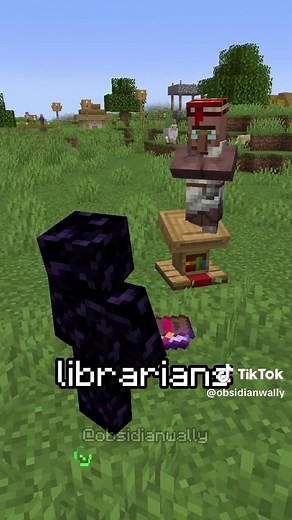 Hero of the Village raid farm Minecraft tutorial