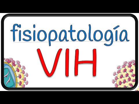 ⌜ HIV Pathophysiology ⌟ 🧬