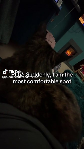 Jolene 🤶🏻🎄🤪😎 (@jolenesrollercoasterlife)’s videos with original sound - SCARRR