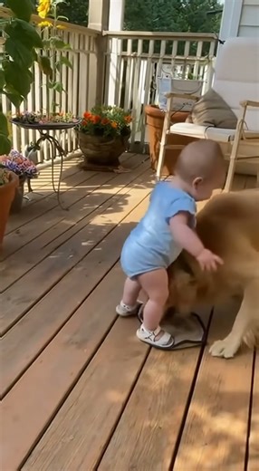 Dog & Baby #dog #baby #ai狗和宝宝 #dog#baby#ai #cute #cutebaby #cuteanimals#papa #baby #funny #fyp