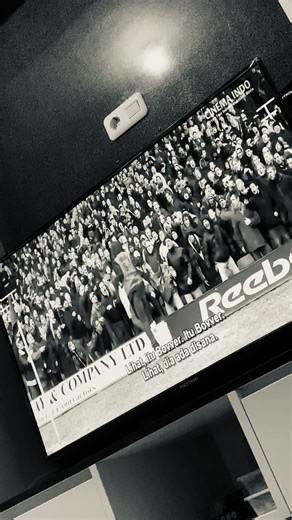 Green Street Hooligans: A Deep Dive into the Film