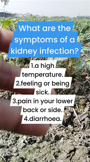 3.2K views · 3 comments | What are the symptoms of a kidney infection? | Health Tricks & Tips English | Facebook