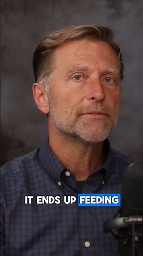 Why Do Most Indian Men Have Potbellies?