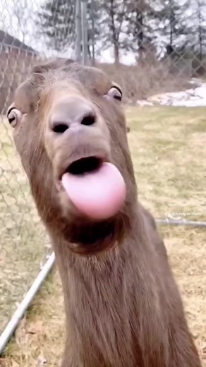 user77874579440 no TikTok