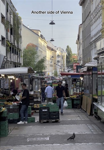 Explore Vienna: Unique Places to Visit and Experience
