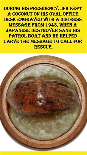 🥥 JFK Kept This Coconut on His Desk — The Reason Will Shock You