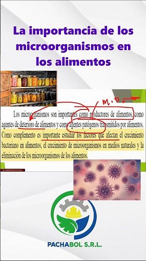 La importancia de los microorganismos en los alimentos