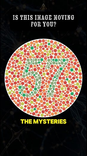 Test your Color Vision in 3 Seconds! 🎨