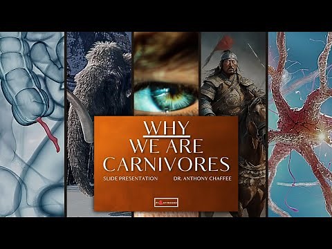 🔴Why We Are Carnivores Slide Presentation, with Dr Anthony Chaffee