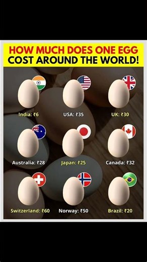 Egg Prices Around the World 🥚🌍 | USA vs Others #usa