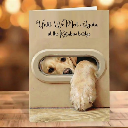 DOG Pet Loss Card, Pet Sympathy Gift, Dog Remembrance Gift, Pet Memorial Day, Pet Bereavement, Pet Funeral Card, Loss of Dog Condolence Card - Etsy
