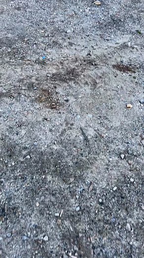 Custom OBS 7.3 Work Truck Build