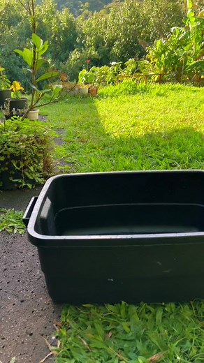 Fairy Garden Waterfall DIY: Create a Mini Water Feature for Your Backyard