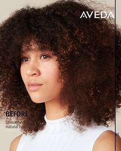 143 reactions · 17 shares | Meet NEW botanical repair™. High-performance hair care formulated for all hair types and textures. | Aveda | Facebook