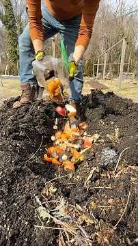 5 Ways To Compost Your Food Scraps