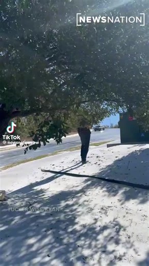 A car doing ballet on ice #ice #Austin #fyp #Texas #ballet