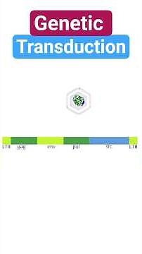 Genetic Transduction #retrovirus #transduction #biotechreview