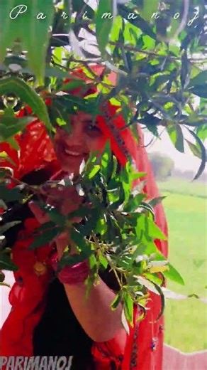 #meenageet #manraj deewana New status#krdevta#viral#jaipurcity#shotsfeed#meenageet#parimanoj#trend