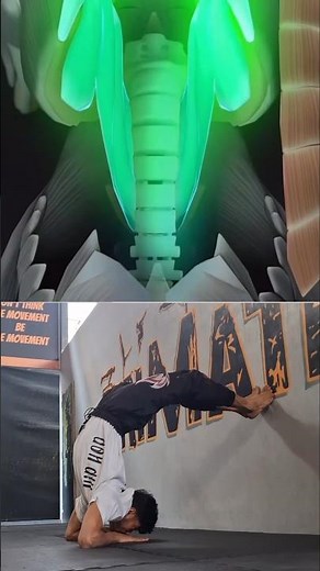 🧱 Wall assisted bridge for a stronger spine #WallAssistedBridge #SpineMobility #BridgeProgression