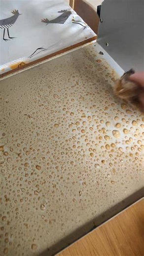 Satisfying #ASMR | Oven clean co.down