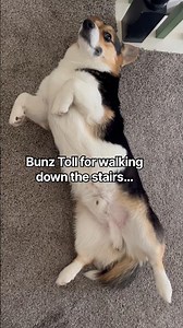 Always Have To Pay The Bunz Toll😂#shorts