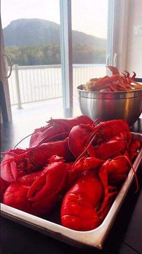 What to do in Newfoundland Labrador in the summer